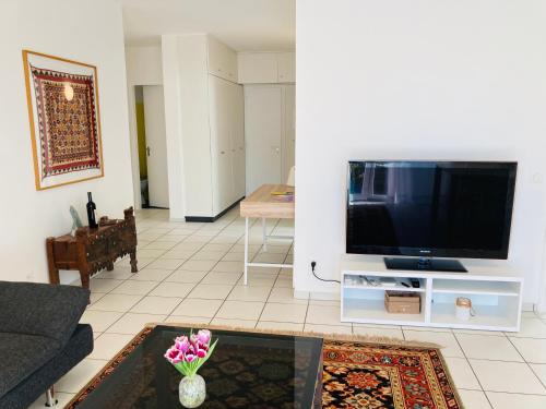 a living room with a large flat screen tv at Appartamento con giardino al Melograno in Locarno