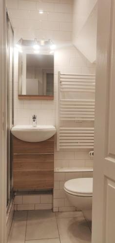 une salle de bain blanche avec un lavabo et des toilettes dans l'établissement Chez Fanny. - studio Cosy Paris 21m2 Porte de Pantin. 2-3 pers, à Le Pré-Saint-Gervais