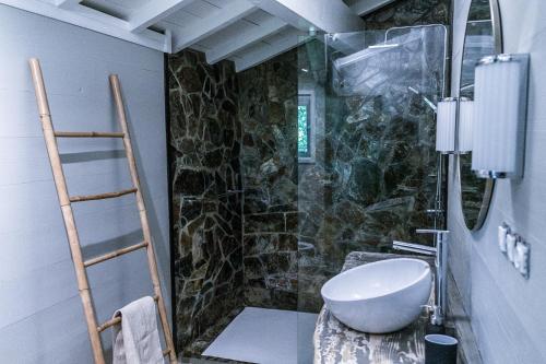 une salle de bain avec un lavabo et une douche en verre dans l'établissement Belle de Nuit - Gîte en Ardèche avec piscine et vue, à Malbosc