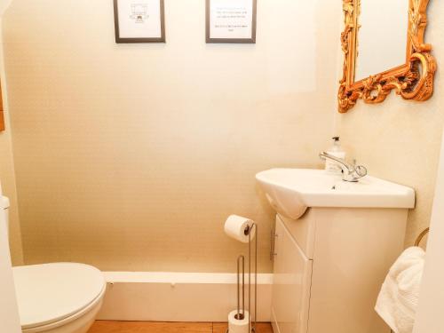 a bathroom with a toilet and a sink and a mirror at 12 Deva Terrace in Chester