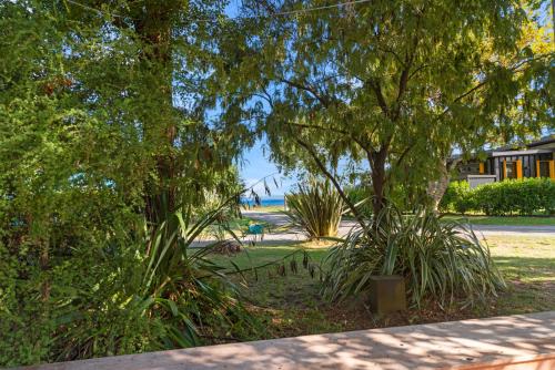 a park with trees and plants in the grass at Hatepe Haven - Hatepe Holiday Home in Waitahanui