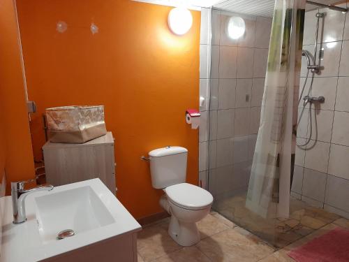 a bathroom with a toilet and a shower and a sink at BEL APPARTEMENT T2 LUMINEUX in Les Anses-dʼArlets