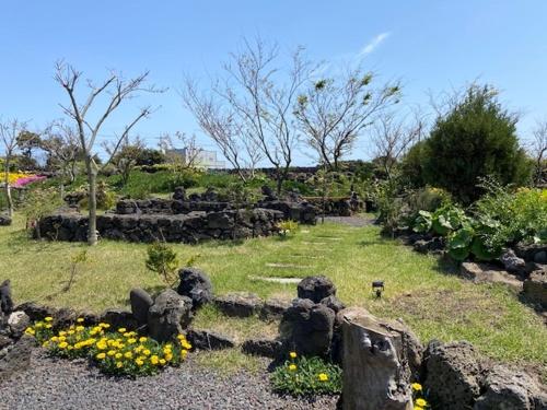 a garden with rocks and flowers in a field at Jeju Time in Jeju