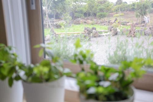 a window with potted plants sitting on a window sill at Jeju Time in Jeju
