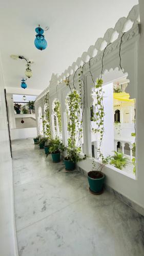 a row of potted plants on a wall at Kotra Haveli A Boutique Hotel by Lake Pichola in Udaipur