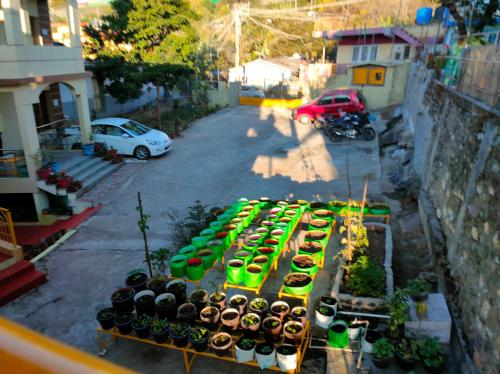 an overhead view of a group of plants in green pots at Misba Homestay Kodai in Kodaikānāl