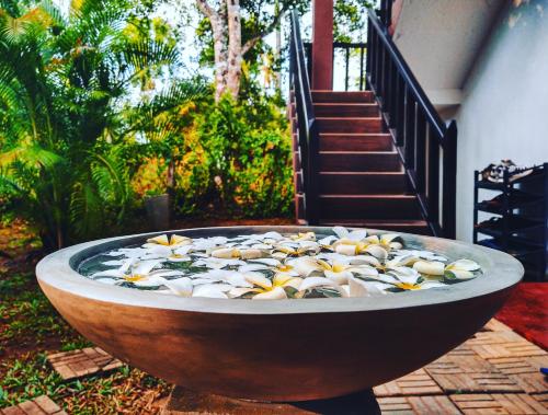 a large bowl of fish in a pool of water at All View Resort in Tangalle