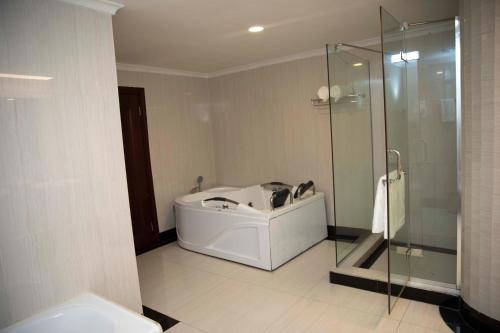 a bathroom with a sink and a glass shower at Peacock Hotel in Dar es Salaam