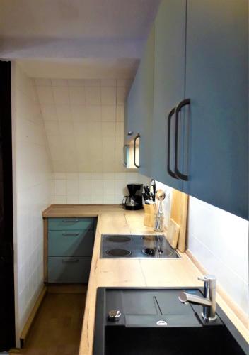 a small kitchen with blue cabinets and a sink at Storchennest Spreewald in Vetschau