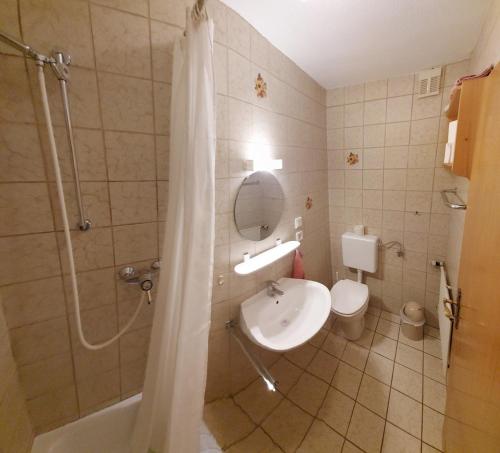 bagno con doccia, lavandino e servizi igienici di Ferienwohnung Nr 2, Lechbruck-Gründl, Allgäu a Prem