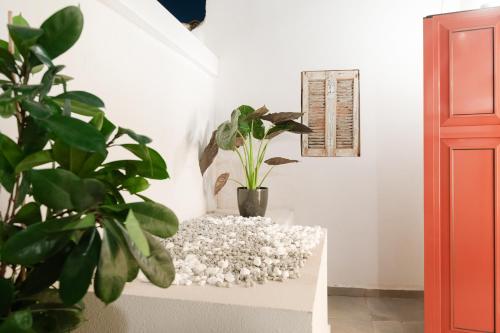 una scala con piante su un muro bianco di Ether Loft Suites ad Atene