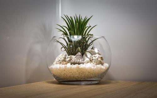 a glass vase with rocks and a plant in it at InStyle Aparthotel in St Julian's