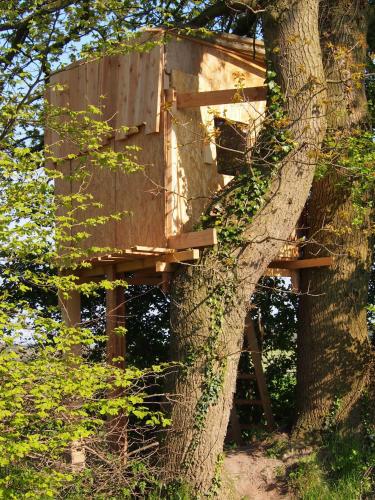 a tree house in a tree at Ferienwohnungen Knospe in Kappeln
