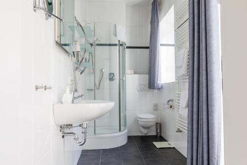 a bathroom with a sink and a glass shower at Apartmenthotel Weilburg in Weilburg