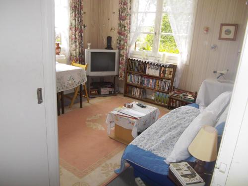 a living room with a bed and a tv at Lenard Charles Bed & Breakfast in Juvigny-sous-Andaine