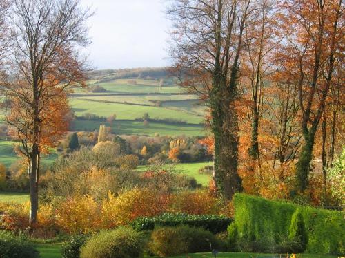 Příroda nedaleko bed and breakfast