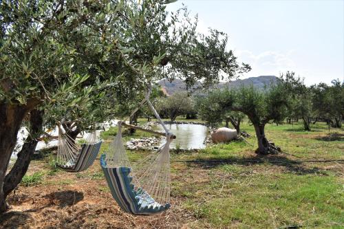 Φυσικό τοπίο κοντά σε αυτή η βίλα