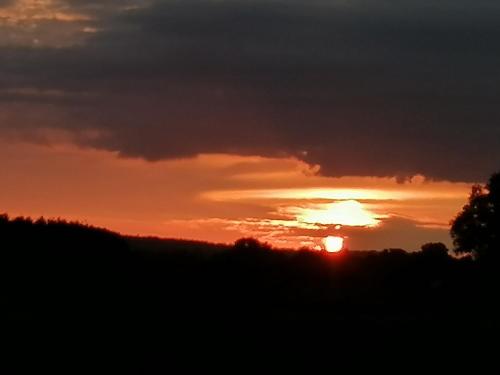 Fotografie z fotogalerie ubytování Seefahrer Musik- & Kreativhotel v destinaci Osten