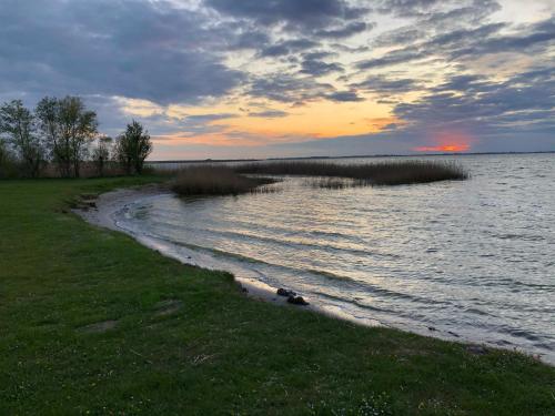 a sunset over a body of water with grass at Ferienhaus am Saaler Bodden in Neuendorf