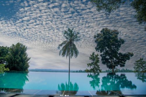a palm tree in the middle of a pool of water at Villa Hillcrest in Weligama