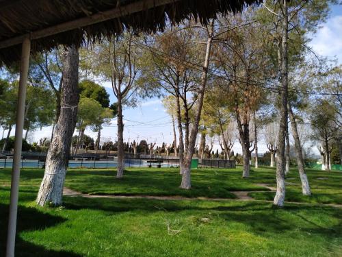 Giardino di Área de Servicio El Cruce