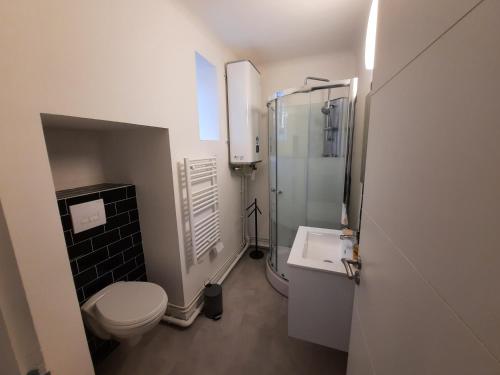 une salle de bain avec toilettes, douche et lavabo dans l'établissement Résidence Beauvau – Numéro 7 - Centre de SARLAT, à Sarlat-la-Canéda