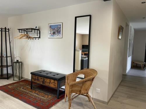 a room with a table and a chair and a mirror at Gîte Les Plains Champs in Labaroche