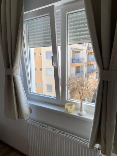a window with curtains and a vase on a window sill at Apartmani Milić Banja Koviljača in Banja Koviljača