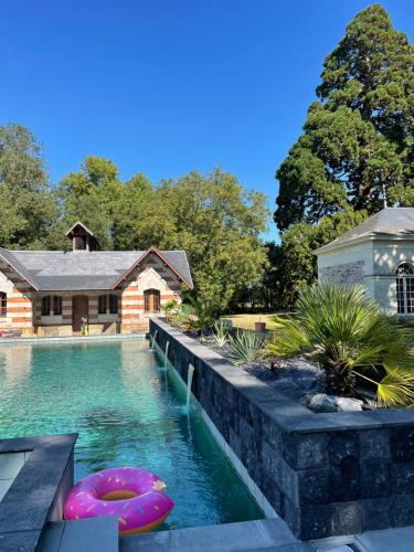 une piscine avec deux gonflables roses devant une maison dans l'établissement Château de Belle Poule, à Les Ponts-de-Cé