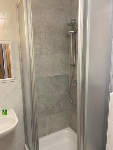 a bathroom with a shower and a sink at Kapitänshaus in Bad Schandau