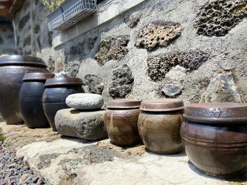 un groupe de pots alignés sur un mur de pierre dans l'établissement Jeju Time, à Jeju