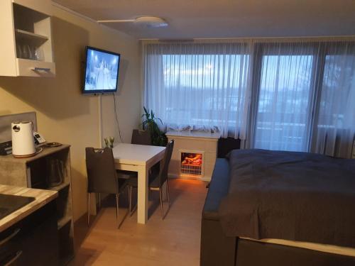 En tv och/eller ett underhållningssystem på Eisvogelnest Appartement und Feuersalamander Appartement am Predigtstuhl