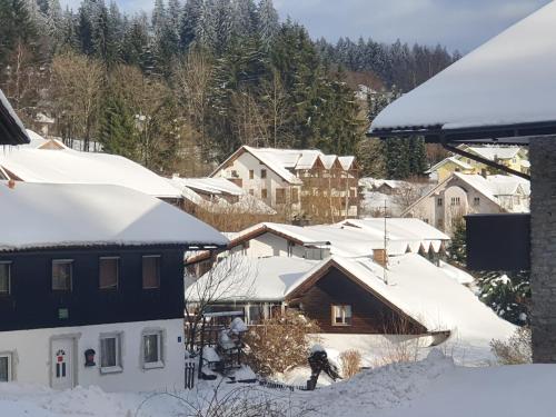 Kış mevsiminde Eisvogelnest Appartement und Feuersalamander Appartement am Predigtstuhl