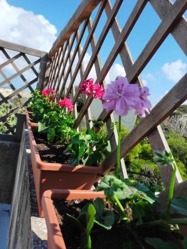 a row of flowers on a wooden railing at Gozo Rustic Farmhouse with stunning views and swimming pool in Sannat