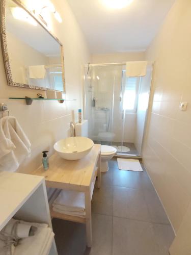 bagno con lavandino, servizi igienici e specchio di Guest House Dragić a Zara (Zadar)