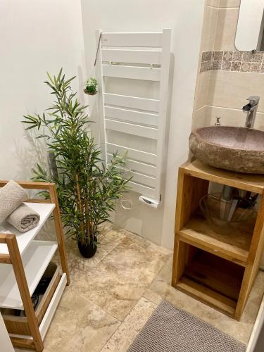 La salle de bains est pourvue d'un lavabo et d'une plante en pot. dans l'établissement COSYFULL Rouen centre JACUZZI, à Rouen