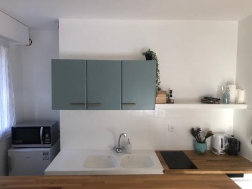 une cuisine avec un évier et un micro-ondes dans l'établissement Cosy Studio, à Tournon-sur-Rhône