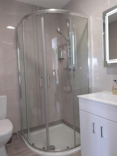 une douche dans une salle de bain avec toilettes et lavabo dans l'établissement Pairc Lodge, à Doolin
