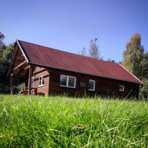 a wooden house with a red roof in a field of grass at Domek na Wzgórzu in Wojcieszyce