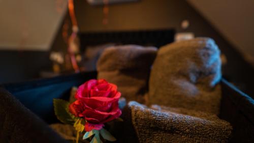 a red rose in a vase next to a couch at Magnifique Duplex avec Jaccuzi, Sauna et Cinema Room Privatif in Fontenoy