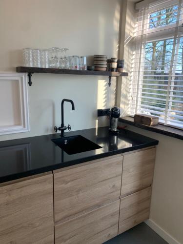 eine Küchentheke mit einem Waschbecken und einem Fenster in der Unterkunft Appartement Het Bovenhuys in Baflo
