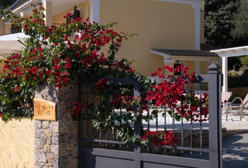 O grădină în afara Infinity Villa