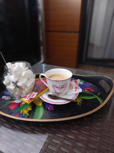 Utensilios para hacer té y café en Apartman Giljen
