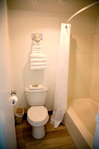 a bathroom with a toilet and a shower and towels at The Virginian Inn Moab Downtown in Moab