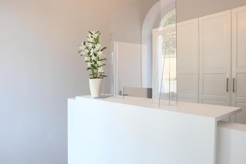 uma cozinha branca com um vaso de plantas sobre um balcão em Hotel Sächsischer Hof em Pirna