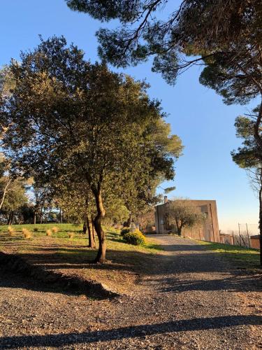 a tree in the middle of a gravel road at Torre Mendari in Varigotti