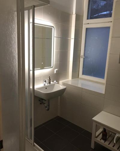 a bathroom with a sink and a mirror at Apartment 26 Eighty in Semmering