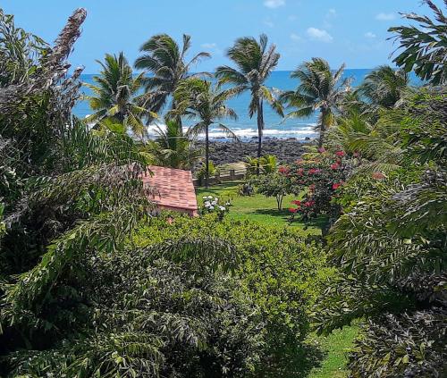 a view of a resort with palm trees and a beach at COMPLEJO PONTA das BRILLES DUPLEX in Nísia Floresta