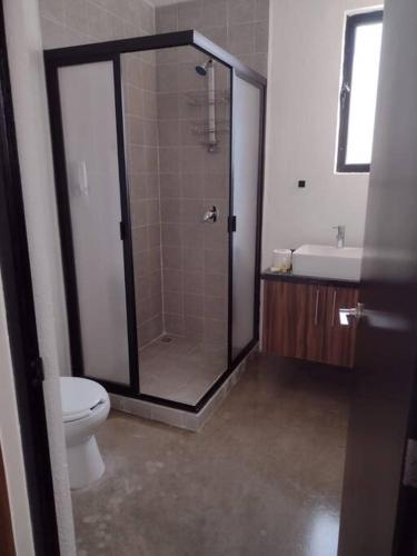 a bathroom with a shower and a toilet and a sink at +MS +Loft Céntrico +Cómodo +Internet 119G in Casa Blanca La Corregidora