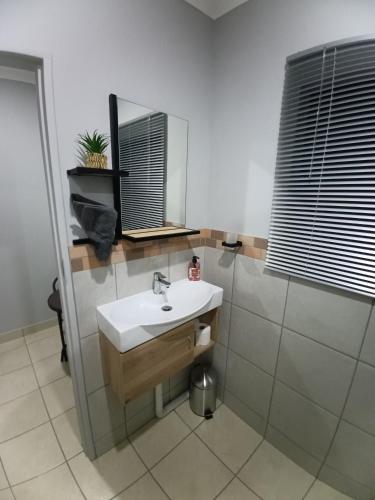 a bathroom with a sink and a mirror at Big D Accommodation & guesthouse in Northam